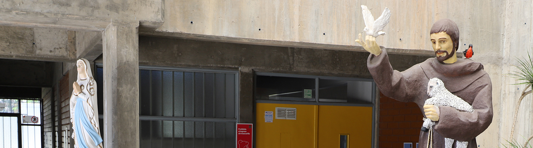 img-3