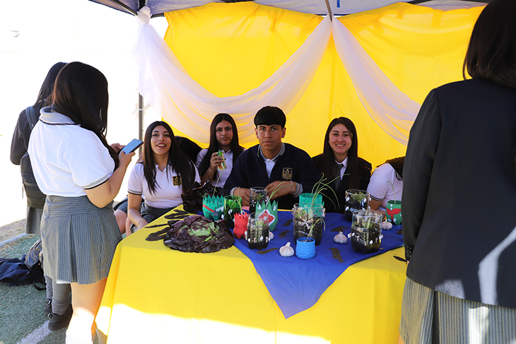imagen-1