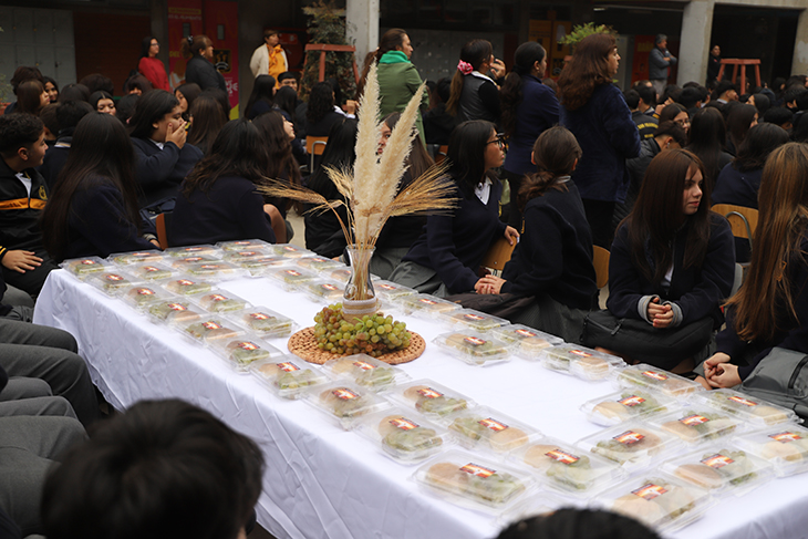 imagen-1